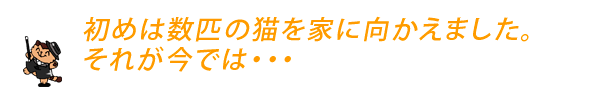 初めは数匹の猫を家に向かえました。